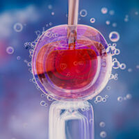 beautiful-fertility-concept-3d-rendering